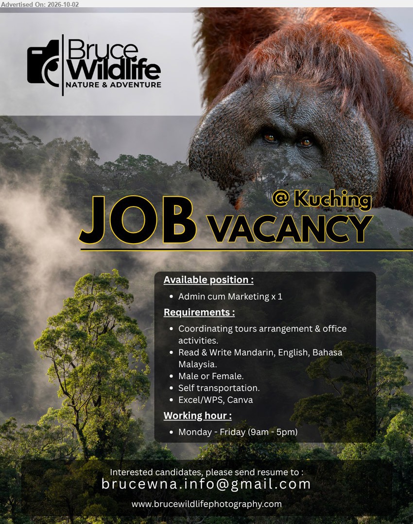 BRUCE WILDLIFE NATURE & ADVENTURE SDN BHD - ADMIN CUM MARKETING (Kuching), Coordinating tours arrangement & office activities, Read & Write Mandarin, English, Bahasa Malaysia, Self transportation, Excel/WPS, Canva, Monday - Friday (9am - 5pm).

Email Resume
